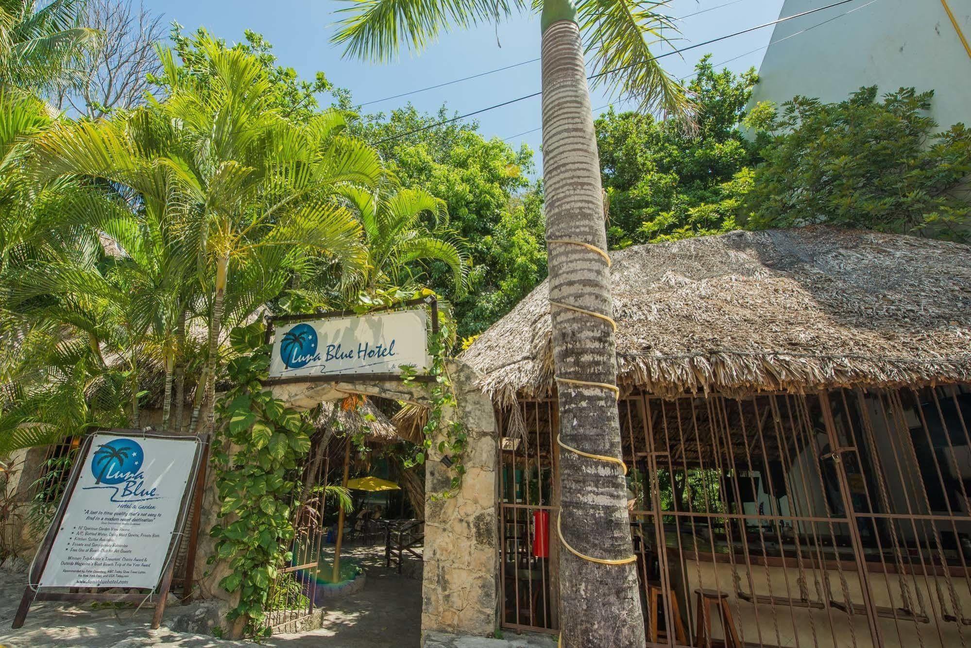 Luna Blue Hotel Playa Del Carmen Eksteriør bilde